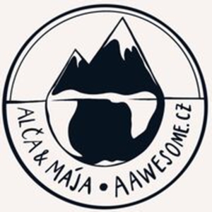 logo aawesome