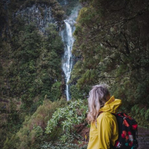 Madeira ve žlutém Nanoraku